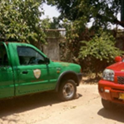 Masters Cars